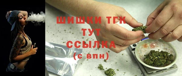 спиды Магас