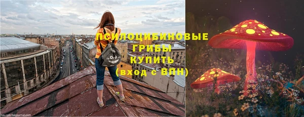 спиды Магас