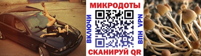 Псилоцибиновые грибы Cubensis  omg рабочий сайт  Котовск 