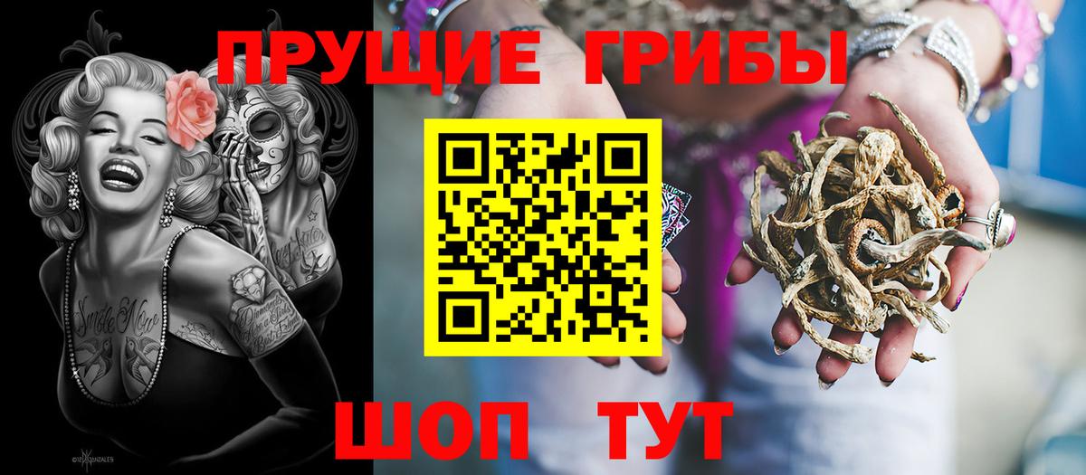 Псилоцибиновые грибы ЛСД Котовск
