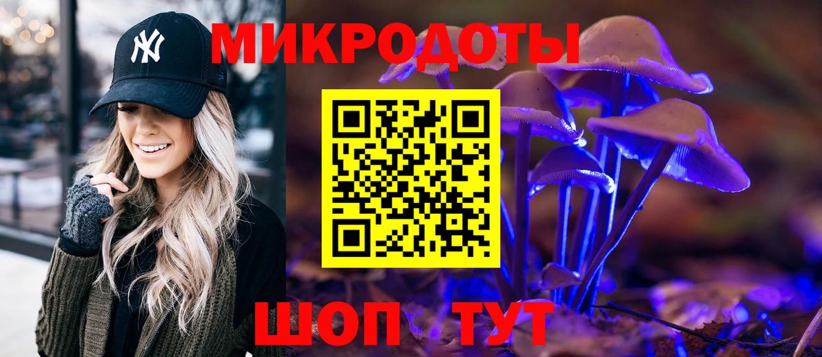 Котовск  Галлюциногенные грибы Psilocybe  Вход с VPN 