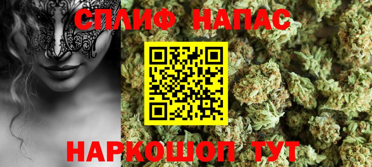 Шишки марихуана THC 21%  Вход с VPN  Марихуана планчик  Котовск 